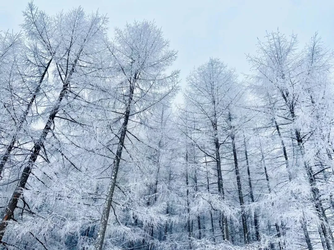 640.webp.png 640.webp.png